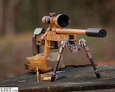 Image result for Tactical Rifles 22 250