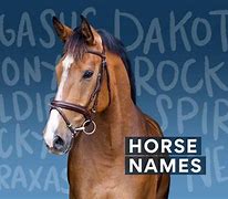 Image result for Rare Horse Names