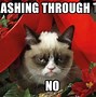 Image result for Funniest Christmas Memes
