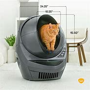 Image result for Jackson Galaxy On Litter Robot