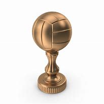 Image result for Bronze Volleyball Trophy