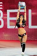 Image result for Nikki Bella Wrestling Outfit