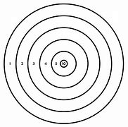 Image result for 22 Shooting Targets