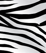 Image result for Black and White Stripe Photography