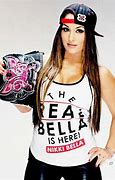 Image result for Seth Rollins and Nikki Bella