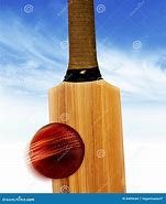 Image result for Cricket Objects