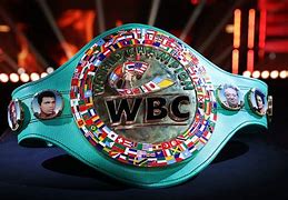 Image result for WBC Boxing Belt Heavyweight