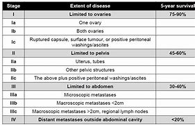 Image result for Epithelial Ovarian Cancer Table