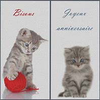 Image result for Carte Anniversaire À Imprimer Tête De Chat Humour