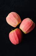 Image result for Ornamental Pink-Fleshed Apple