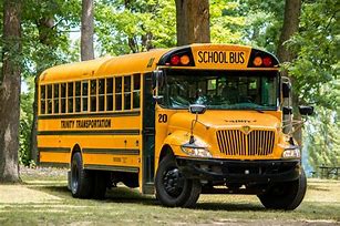 Image result for schools buses