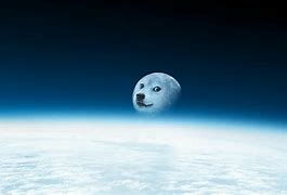 Image result for Moon Dog Meme