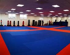 Image result for Martial Arts Training Centre