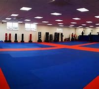 Image result for The Best Martial Art Places to Go