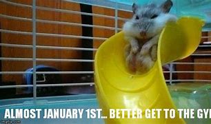 Image result for New Year Diet Meme the Office