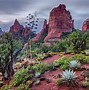 Image result for Desert and Cactus Artwork Computer Background