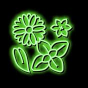 Image result for Cyan Neon Flowers