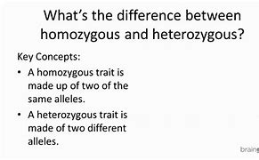 Image result for What Is Homozygous