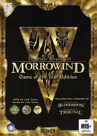 Image result for Morrowind Cover