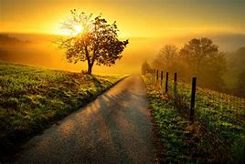 Image result for Best Camera Nature Photography