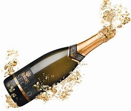 Image result for New Year's Eve Champagne Bottle