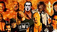 Image result for WWF Wrestling