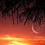 Image result for Phone Wallpaper of a Sunset