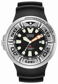 Image result for Citizen Dive Watches for Men
