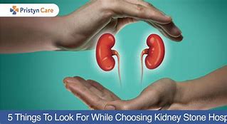 Image result for Kidney Stone 5 mm Size