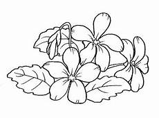 disegno fiori l usignolo disegni fiori da colorare disegno fiori l usignolo disegni fiori da colorare