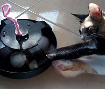 Image result for Battery Operated Cat Toys