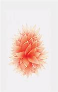 Image result for Rose Gold iPhone SE 500 Pixels