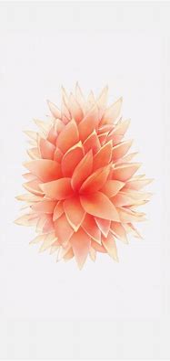 Image result for Best iPhone SE Wallpapers