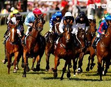 Image result for Royal Ascot Horse Racing