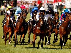 Image result for Wallpaper 4K Horse Racing