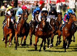 Image result for Free Horse Racing Forms