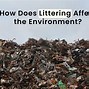 Image result for Littering Pollution