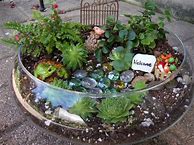 Image result for Miniature Fairy Garden Terrarium