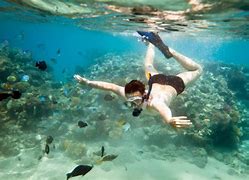 Image result for Costa Rica Snorkeling