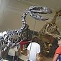 Image result for Earth 150 Million Years Ago