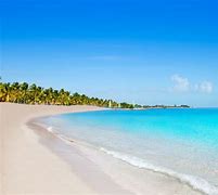 Image result for What Does a Beach Look Like