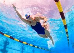 Image result for Freestyle Swimming Technique