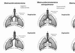 Image result for extracurrivular