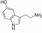 Image result for uvxy stock