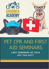 Image result for CPR Dogs Training Flyers