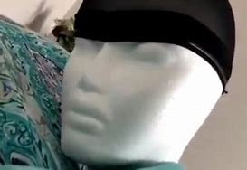 Image result for Mannequin Head Meme