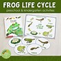 Image result for Frog Cycle