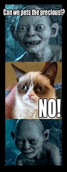 Image result for Grumpy Cat Meme Angry