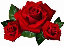 Image result for Gothic Rose PNG