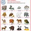 Image result for English Animals Worksheet